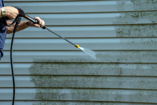 Best Dumpster Area Cleaning  in Las Flores, CA
