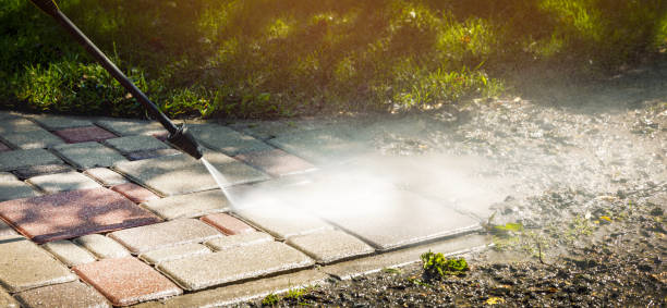 Best Fleet Vehicle Washing  in Las Flores, CA